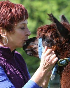 Credentials Wendy Van de Poll