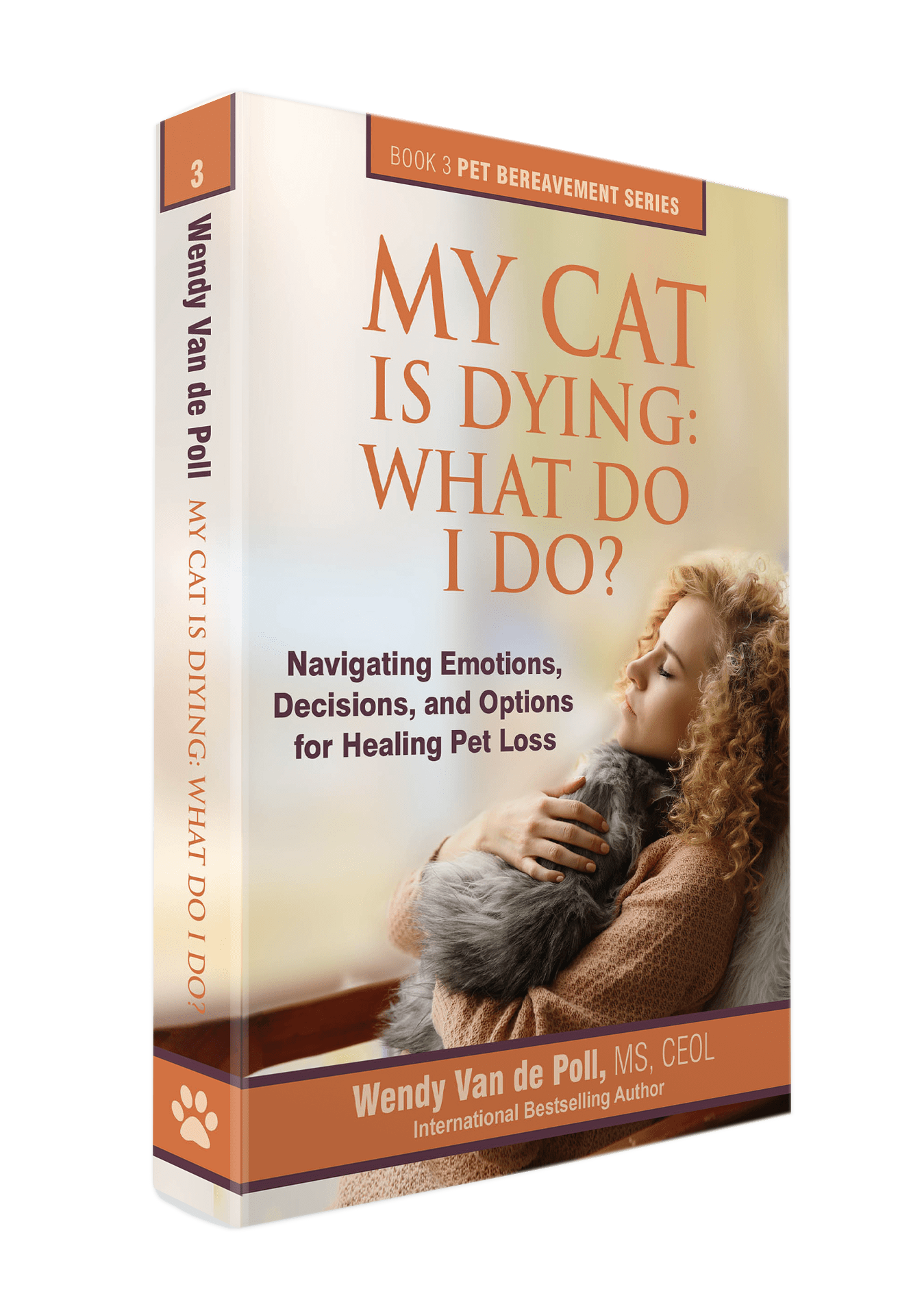 My Cat is Dying What Do I Do?