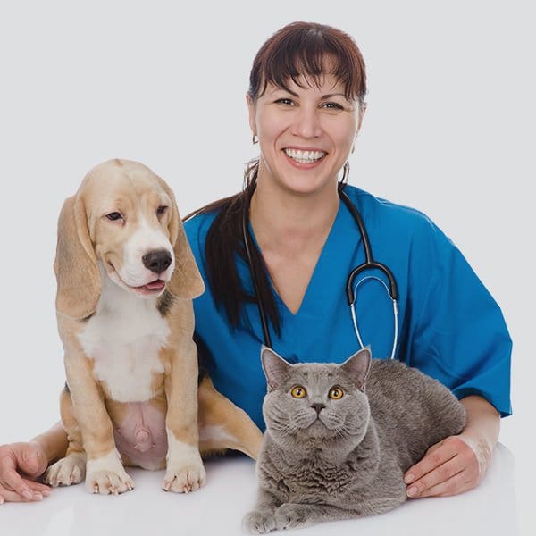 pet professional grief support