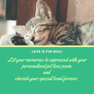 Personalized-pet-loss-poem (1)