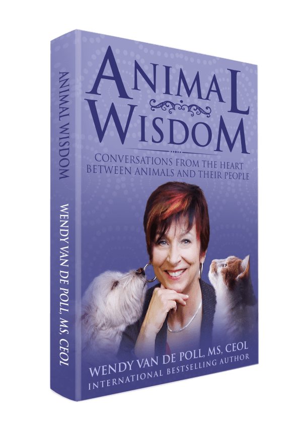 Animal Wisdom Book