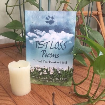 Pet Loss Poems To Heal Your Heart and Soul