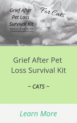 Grief after pet loss for cats