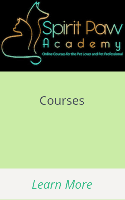 Courses