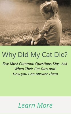Why Did My Cat Die? Answers to the 5-Top questions that kids ask