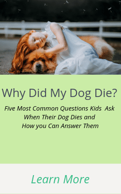 Why did my dog die? Answers to the 5 Top Questions Kids Ask