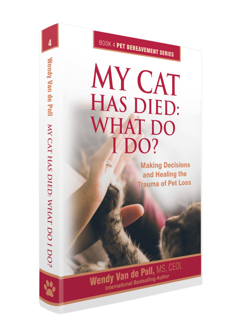 3D-front-book-4-min