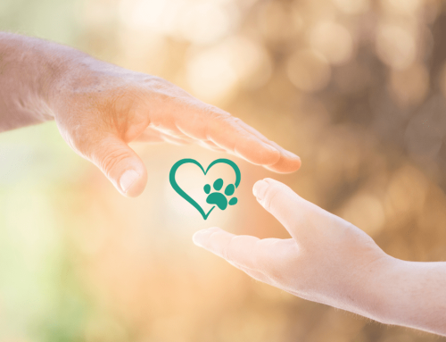 How to Support Someone Grieving a Pet
