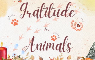 reflecting a sense of gratitude for animals and the comfort they bring.