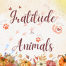 reflecting a sense of gratitude for animals and the comfort they bring.