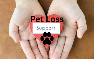 Pet Loss Training with Center for Pet Loss Grief